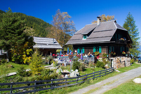 Alm hinterm Brunn