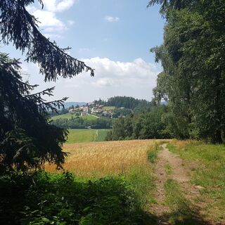 Blick zurück auf Wallfahrtskirche Pöllauberg in der Oststeiermark