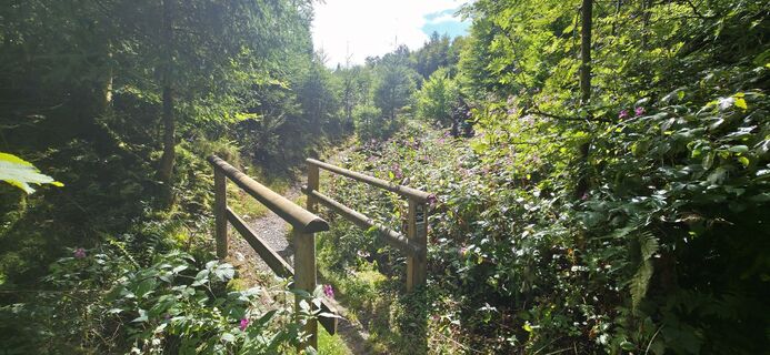 Foto von Michael Ganswind entlang der Tour