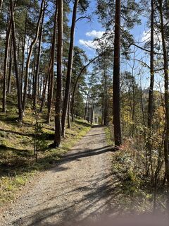 Fotografie de la Wolfgang Kuntner de-a lungul turului