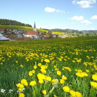 Blick auf Stiefenhofen