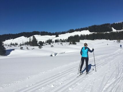 Die Hochmoorloipe Hochhäderich