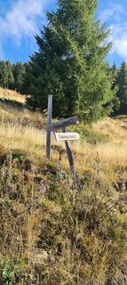 Foto fra Martina Oitzinger underveis på turen