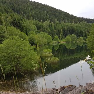 Einlauf Schmalwasser Vollstau