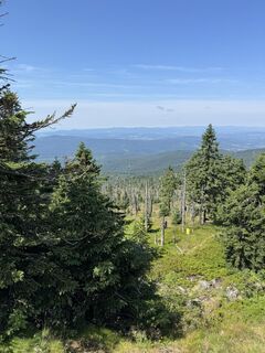 Fotografia z Michael Grill 1 na trase