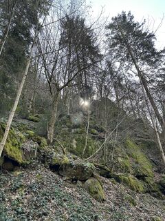 Fotografia z Babs Holz na trase