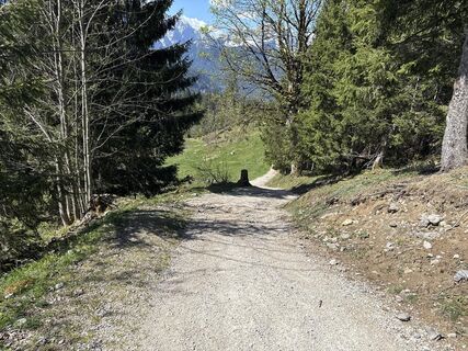 Foto de Similaun a lo largo del recorrido