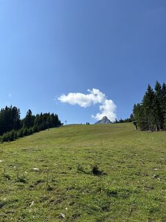 Photo de Alexander Lener le long du parcours