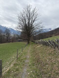 Fotografia z Peter De Smedt2 na trase