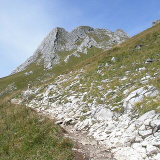 Auf-Blick oder Weg-gehen