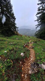 Fotografija s spletne strani Regina Fleischmann na poti