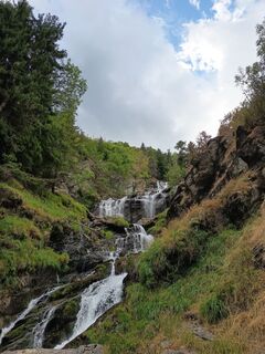 Photo de Aner le long du parcours
