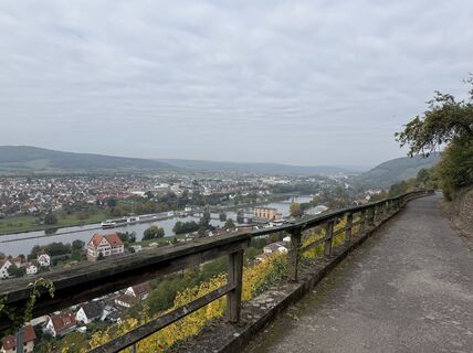 Foto de Vanessa Strauß a lo largo del recorrido