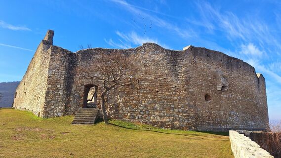 Foto van Regina Fleischmann langs de tour