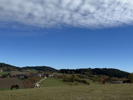 Foto von Ulrich Höhs entlang der Tour