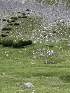 Foto da Albert Hettich lungo il tour