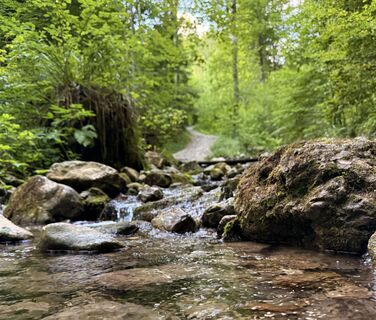 Zdjęcie z Natur_erleben_dg wzdłuż trasy