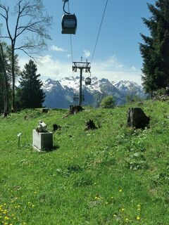 Foto von Waldläufer entlang der Tour