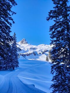 Wenige Meter noch bis zur Seebenalp