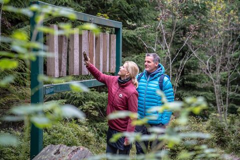 Klangwelten beim Kleinen Kranichsee