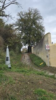 Fotografie z Evgeny Shirkin na trase