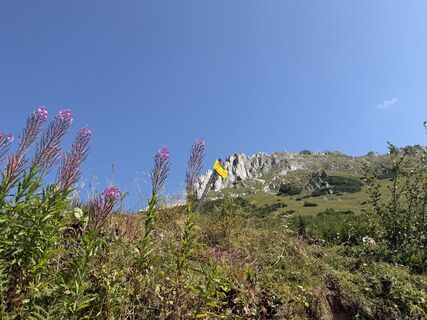 Foto von Gerti Glettler entlang der Tour
