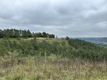 Foto de Norbert Herbig a lo largo del recorrido