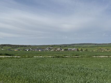 Fotografija s spletne strani Grizzli na poti