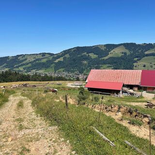 Blick auf die Leutenschwand Alpe