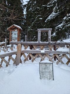 Fotografia z Dagmar Hofer na trase