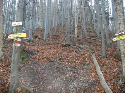 Aufstieg Spitzbrandkogel