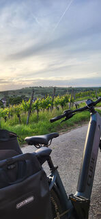 Radfahren in den Weinbergen bei Vögisheim@Gabi Kawlath