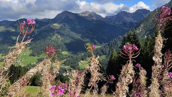 Photo de DollingerRudi le long du parcours