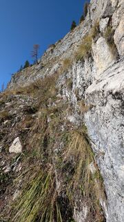 Photo de Richard K. le long du parcours
