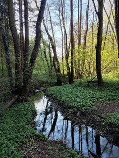 Zdjęcie z Poschacher wzdłuż trasy