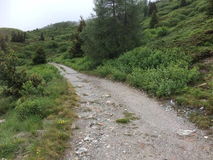 Weg Larcheralm Richtung Galflunalm.JPG