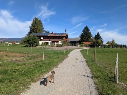 Foto von Eva Oppermann entlang der Tour