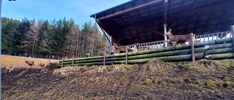 Fotografia z Susi Puhl na trase