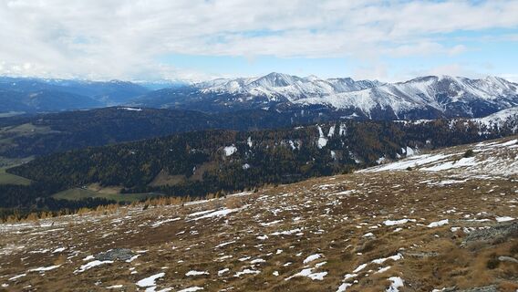Photo de cat le long du parcours