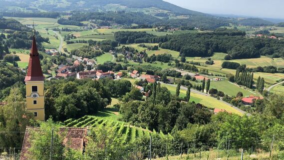 Blick vom Schloss Kapfenstein