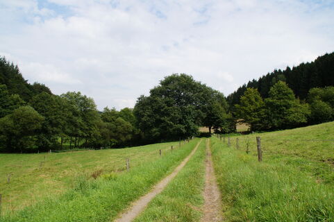 Wanderweg im Purder Bachtal