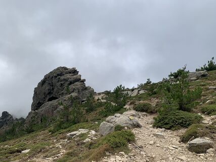 Foto von Jako Koel entlang der Tour