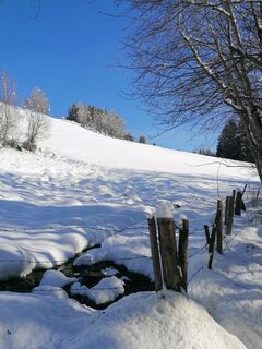 Foto de Dagmar Hofer a lo largo del recorrido