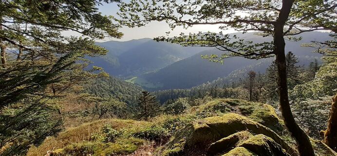 Foto von Bernard Piat entlang der Tour