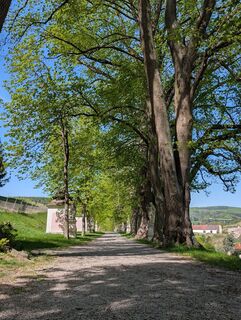 Fotografie z s3ns3 na trase