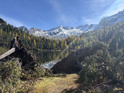 Fotografija s spletne strani Stefka Köfler na poti