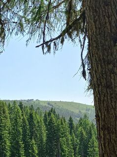 Foto da Christa Grailach lungo il tour