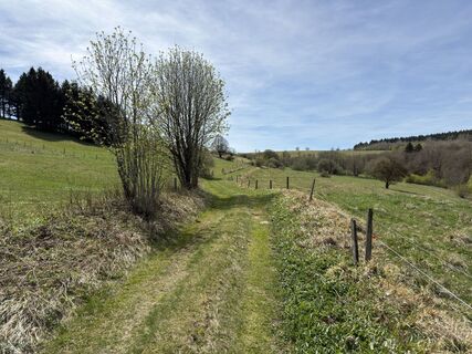 Photo de Frank Neumann le long du parcours