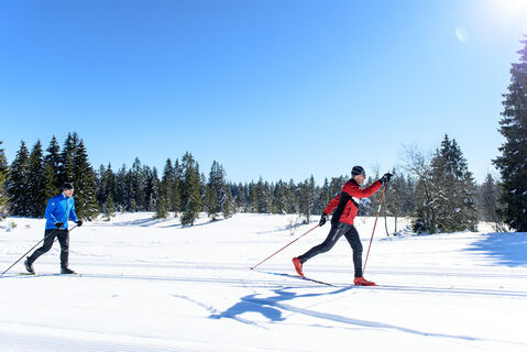Zwei Langläufer
