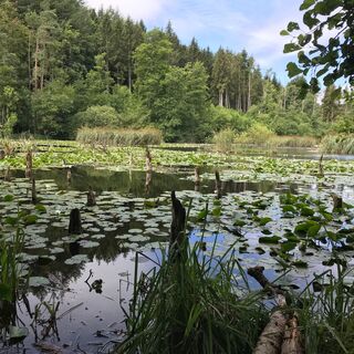 Allensbach-Bodanrück-Bündlisried